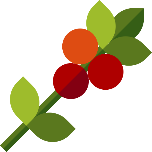 Coffee Plant